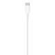 Apple USB-C to Lightning Cable (1m) ​​​​​​​
